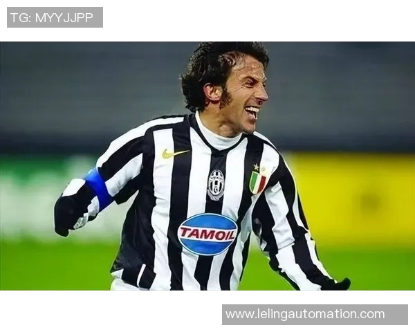 巴西足球球星的辉煌历程与绿茵场上传奇故事解析